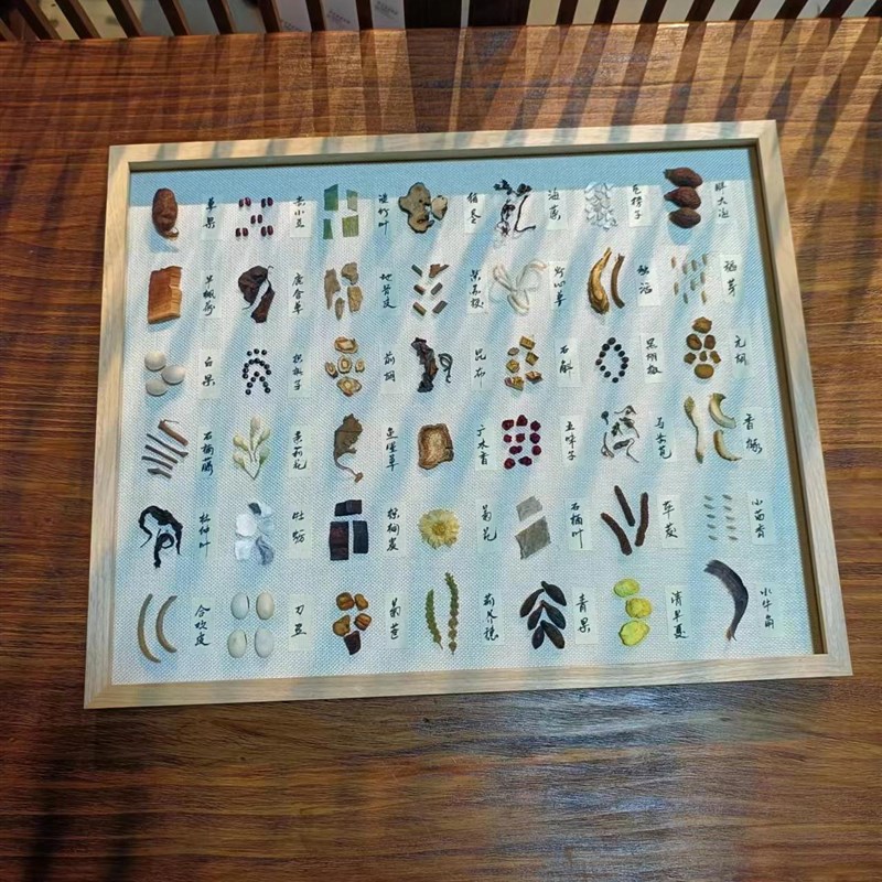 20寸大画框中药标本装饰画涵盖210味可挂墙送礼店铺装修植物标本