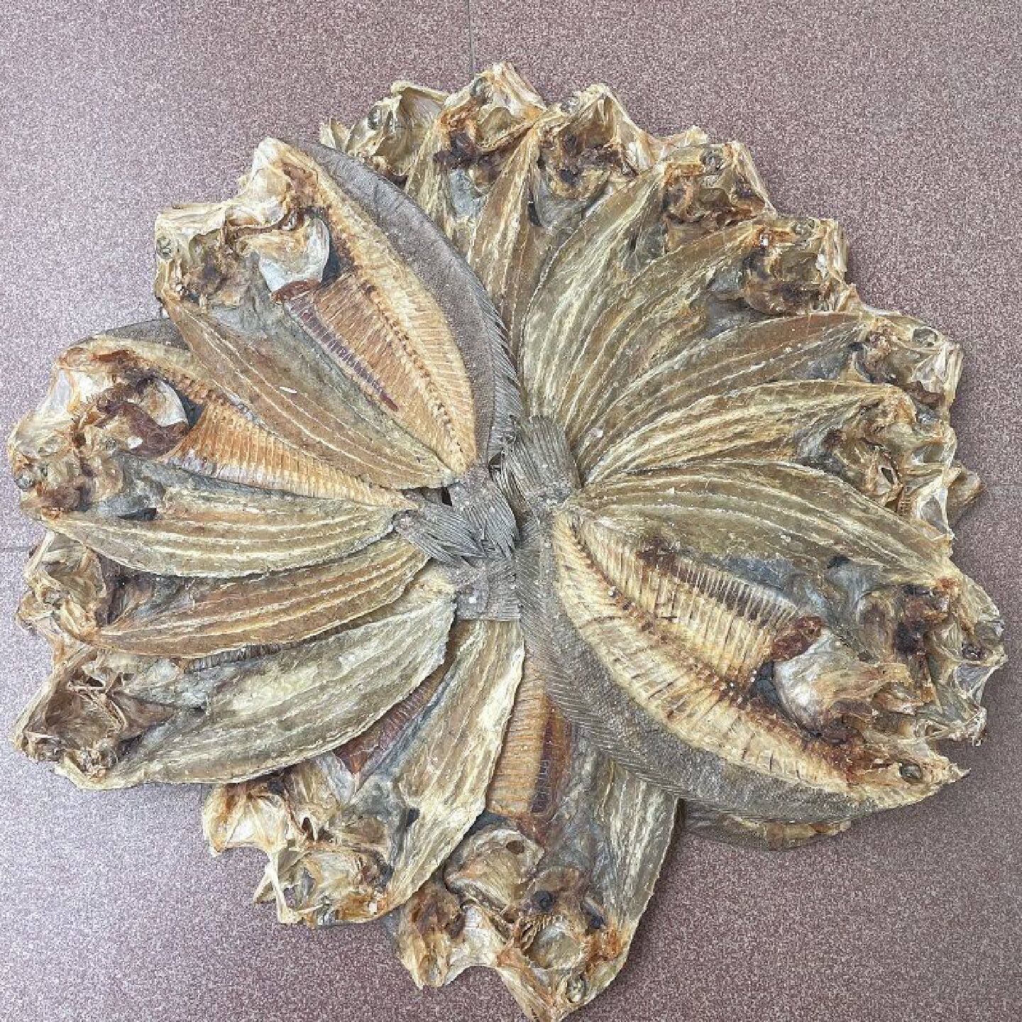 广东汕尾特产大地鱼干海鲜干货250g商用云吞砂锅粥汤料翅补鱼铁脯