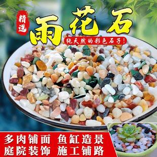 铺在花盆上的石子白玉兰花种花专用铺面石养花彩色小陶粒花雨石
