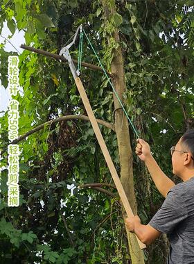高枝剪高空剪树枝剪采果剪 摘采果修枝剪刀树枝剪可伸缩加长杆剪