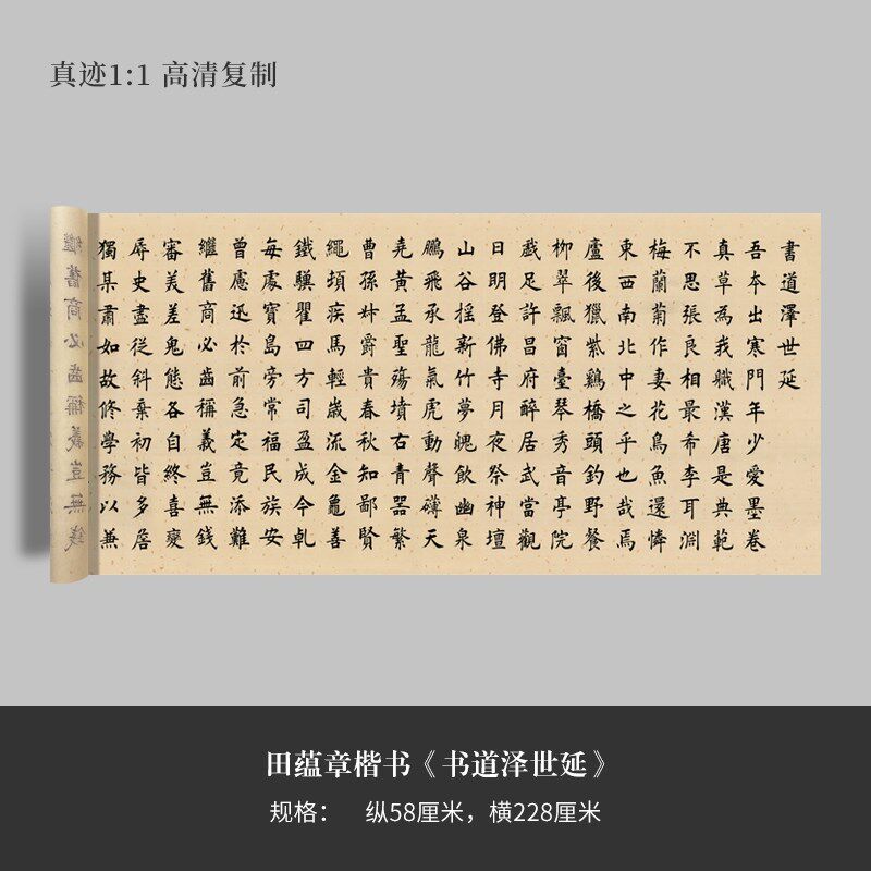 田蕴章《书道泽世延》楷行草书高清原大复品毛笔书法练字帖临摹
