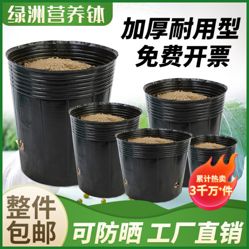 育苗杯营养钵育苗盆营养杯加厚一次性花盆黑色加厚苗木育苗袋