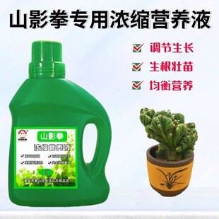 仙人山虎头罗汉山影拳浓缩营养液盆栽绿植物通用液体花卉肥料