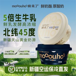 哞来了希腊厚酸奶原味 0蔗糖北纬45°新疆奶源5倍浓缩干噎酸奶