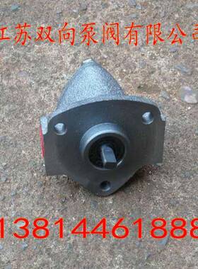 微型油泵BRB-1BRB-2BRB-3润滑泵摆线泵电动油泵小齿轮泵