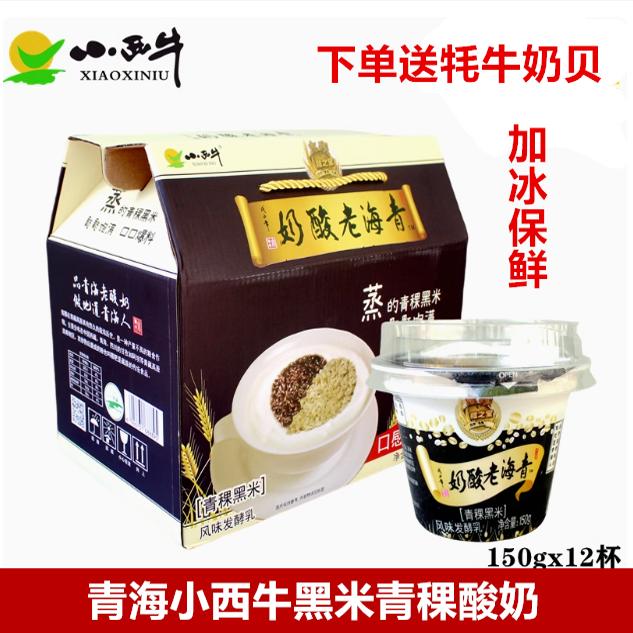 小西牛酸奶 青海特产老酸奶青稞黑米藏之宝 150gx12 高原特产