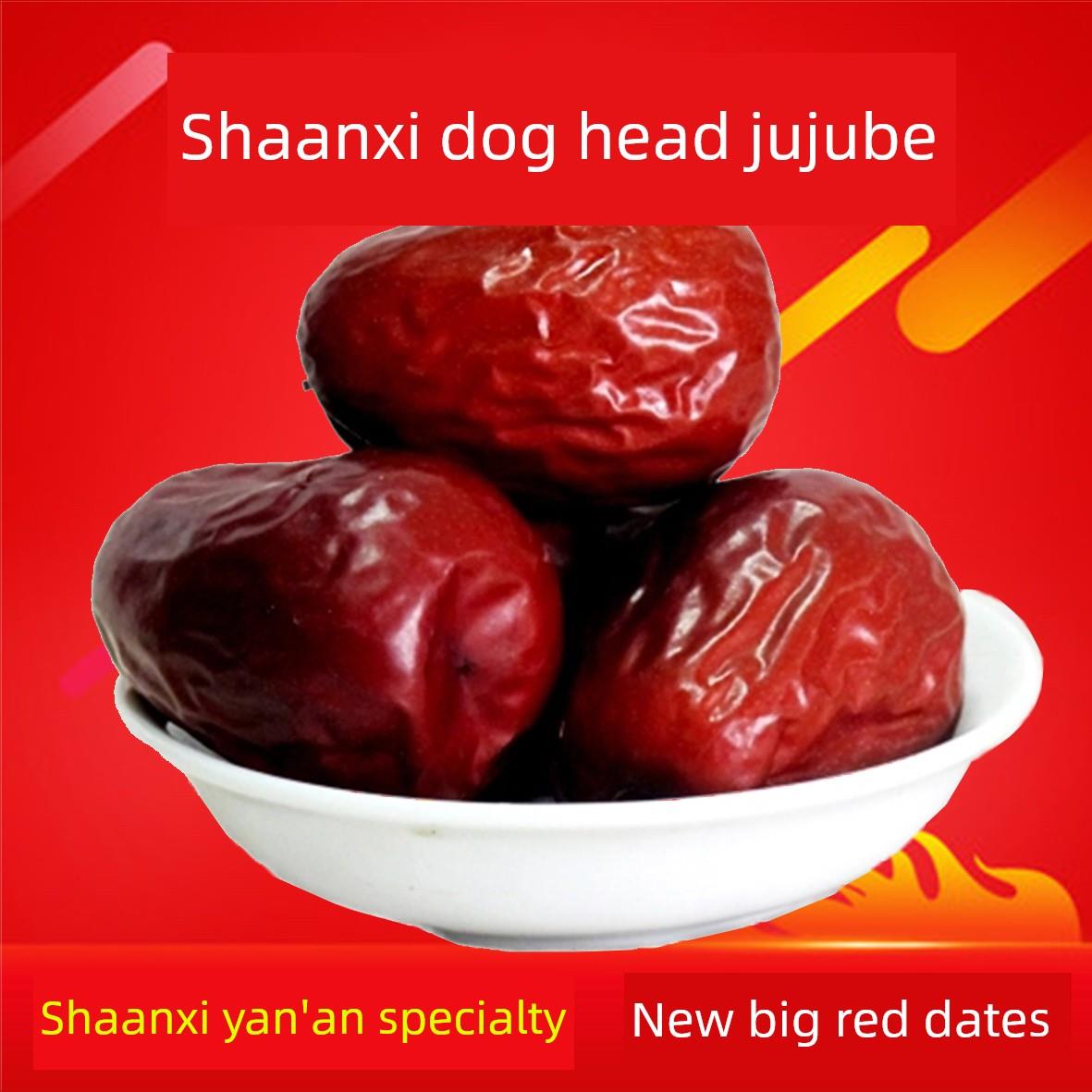 狗头枣陕北延安大红枣子陕西特产欣健源红枣500g包邮