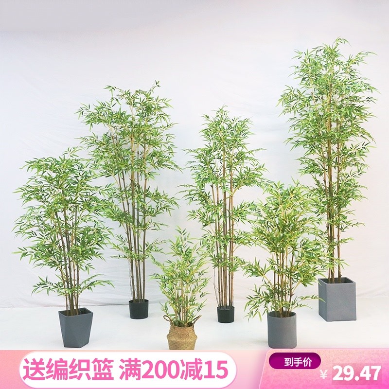 仿真竹子隔断屏风假竹子盆景细水毛竹绿植客厅酒店装饰竹叶假竹竿