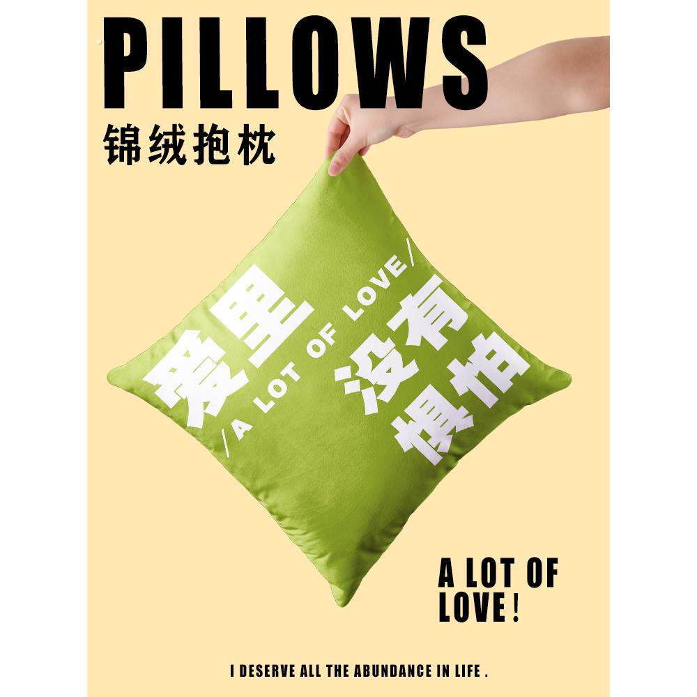 趣味文字梗抱枕靠枕车载方形靠垫枕头客厅沙发办公室创意护腰靠背