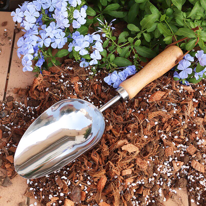 不锈钢园艺铲挖土小铲子种花工具家用装土换盆铁锹铁铲花铲勺铲