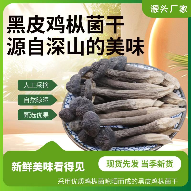 云南特产鸡枞菌酱牛肝松茸