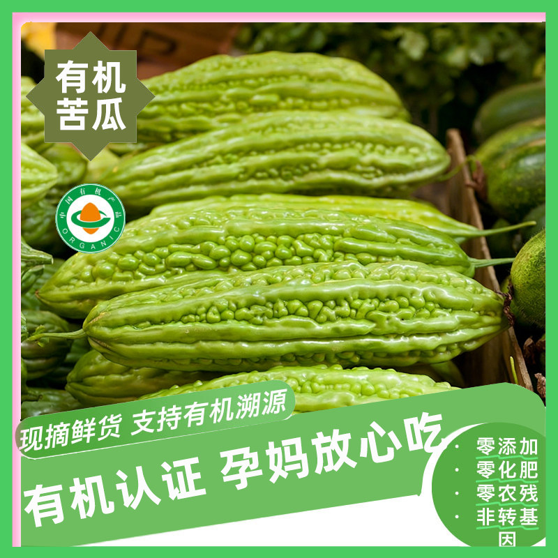 【新鲜有机】有机苦瓜顺丰包邮1-3斤泡沫箱装可煲汤有机认证