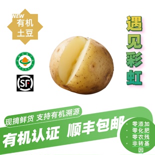 包邮 有机土豆 顺丰 无农残宝宝辅食 新鲜黄心马铃薯