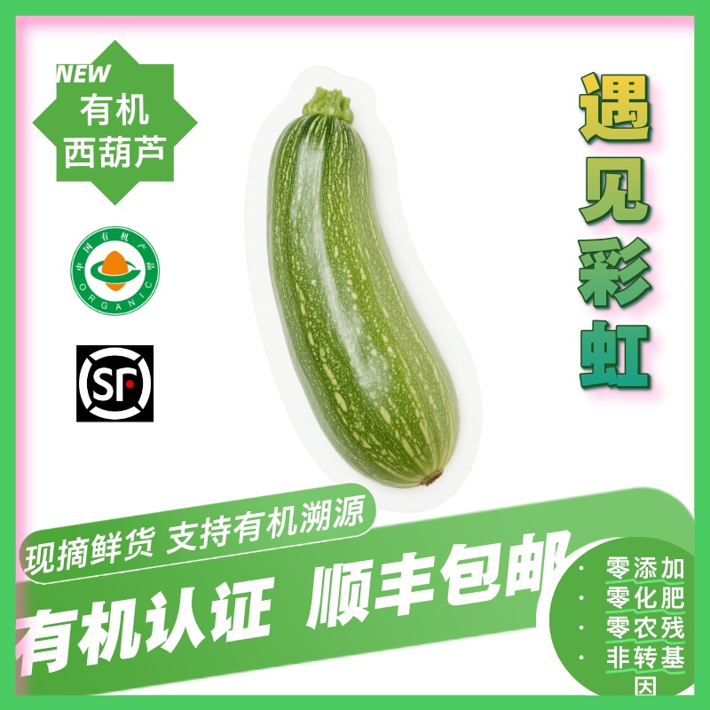 有机西葫芦  茭瓜云南小瓜有机认证无农残新鲜蔬菜
