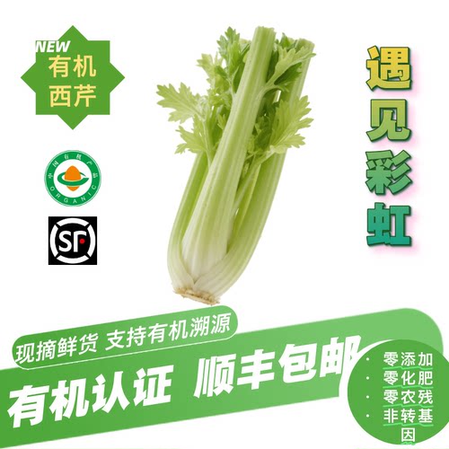 有机西芹 有机认证无农残新鲜采摘安疗 榨汁食疗 健康