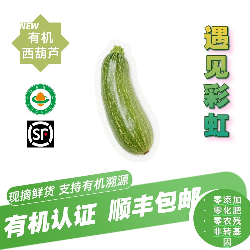 【新鲜有机】有机西葫芦顺丰包邮3斤5斤泡沫箱无农残有机认证