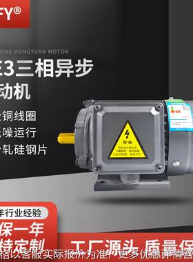 三相异步电动机 YE3-160M1/M2/L-8极电机 4/5.5/7.5W 380V马达