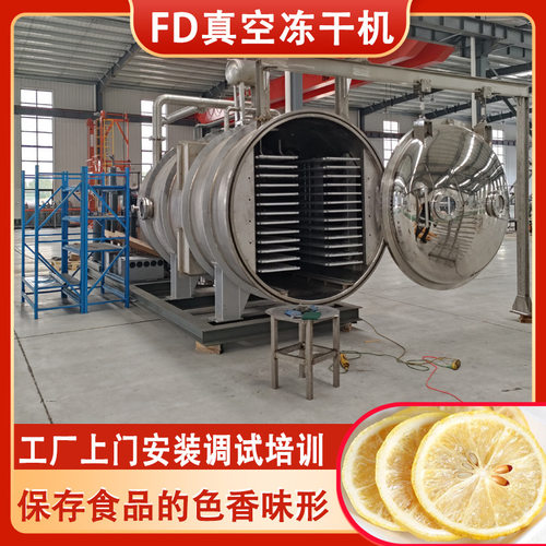 FD冻干机厂家蜂王浆 冻干面冷冻干燥机 茶粉酸奶块冻干技术设备