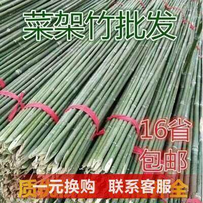 竹竿菜园搭架蔬菜豆角黄瓜番茄爬藤架园庭院家用架子小竹子细竹杆