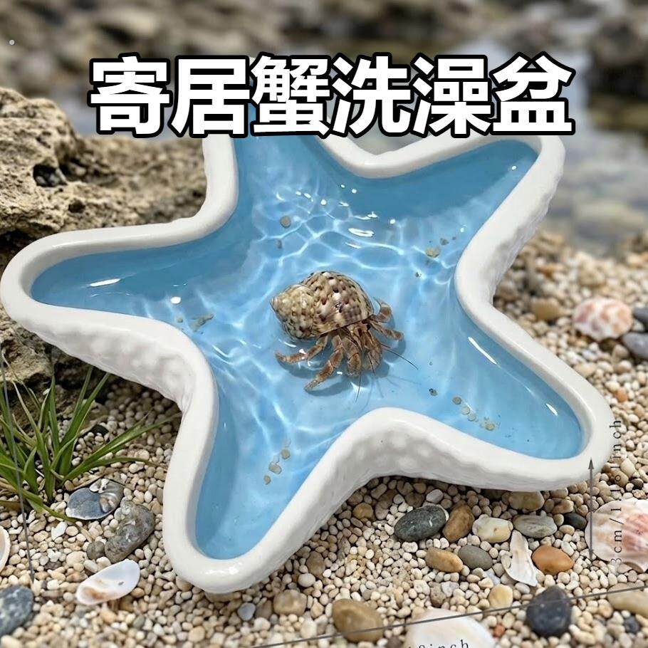 寄居蟹专用水盆全蓝海螺陶瓷浅口异宠饲养缸丰荣爬宠生态造景装饰