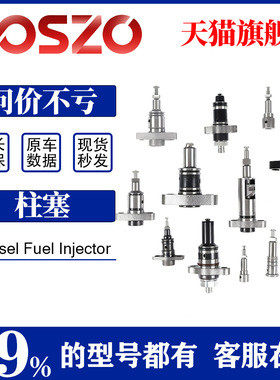 柱塞X920A/X170S/X171B/H泵PS8500P3000重汽豪沃柱塞高压油泵柱塞