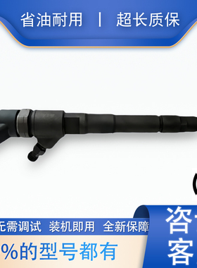 BS/0445110248喷油器总成适用于IVECO Daily504088823