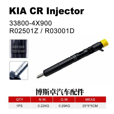 EJBR03001D EJBR02501Z柴油喷油器 33800-4X900 EJBR02501Z