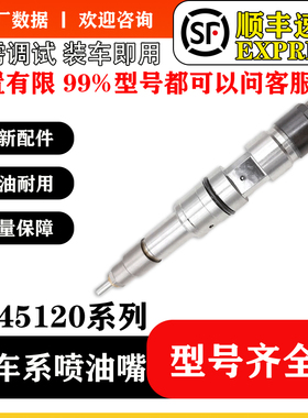 BS/0445120087共轨喷油器适用潍柴WP10 喷油器喷油嘴总成