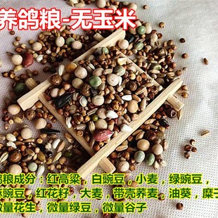 50斤营养鸽粮无玉米鸽子粮鸟食饲料信鸽观赏鸽肉鸽幼鸽成鸽粮