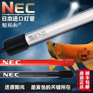 靓相和NEC鱼缸灯金红龙鱼专用发色灯管增艳观赏烤色三基色潜防水