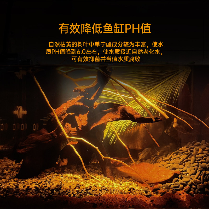 榄仁叶斗鱼懒人叶鱼缸降酸PH值调节剂水族液态乌龟橄榄叶水族包邮