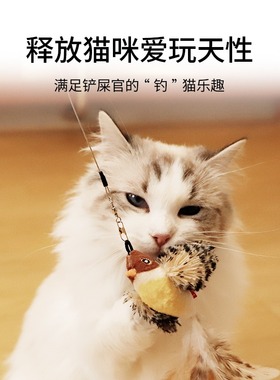 便携伸缩逗猫棒猫玩具耐咬小鸟羽毛替换头长杆新款幼猫咪自嗨解闷