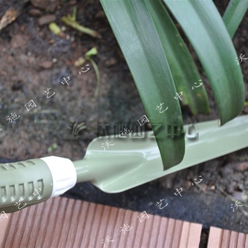 铲子 沃施2813花园拔杂草 草坪挖草铲迁移小苗园艺手工具挖野菜铲