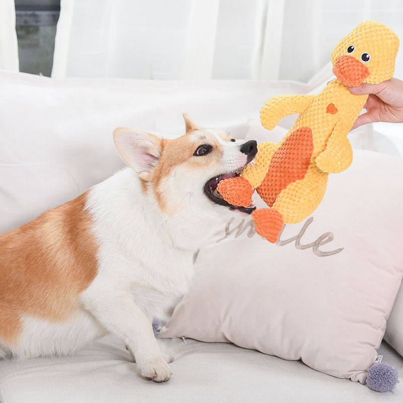 狗狗玩具不耐咬磨牙发声用品中型犬金毛柯基拉布拉多宠物玩具毛绒,宠物/宠物食品及用品,发声玩具,淘宝优惠券,粉丝福利购,淘宝优惠卷