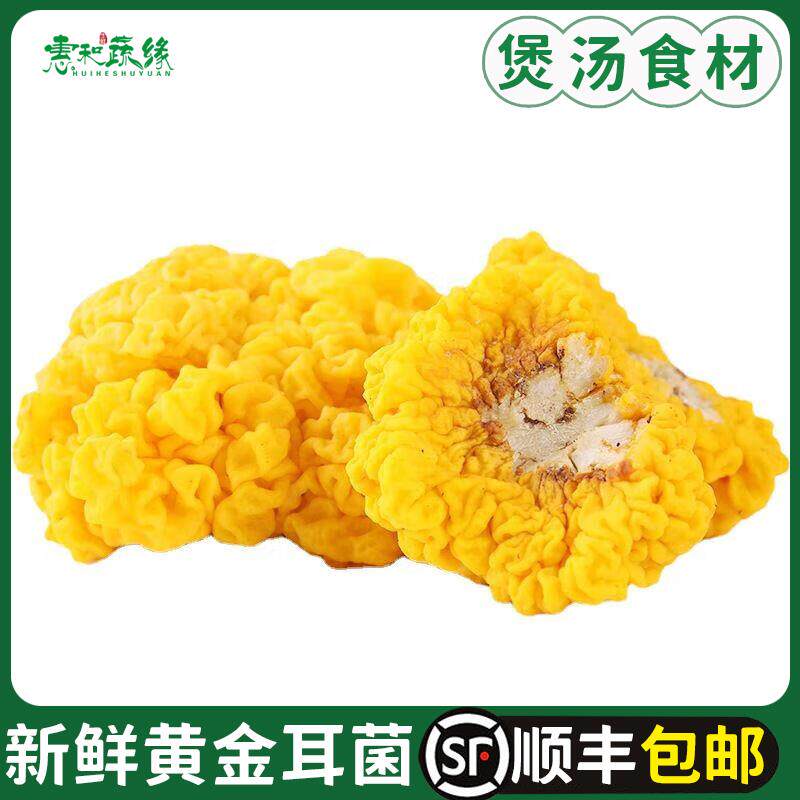 新鲜云南特产黄金耳菌500g非干货银耳菌食用菌菇煲汤食材