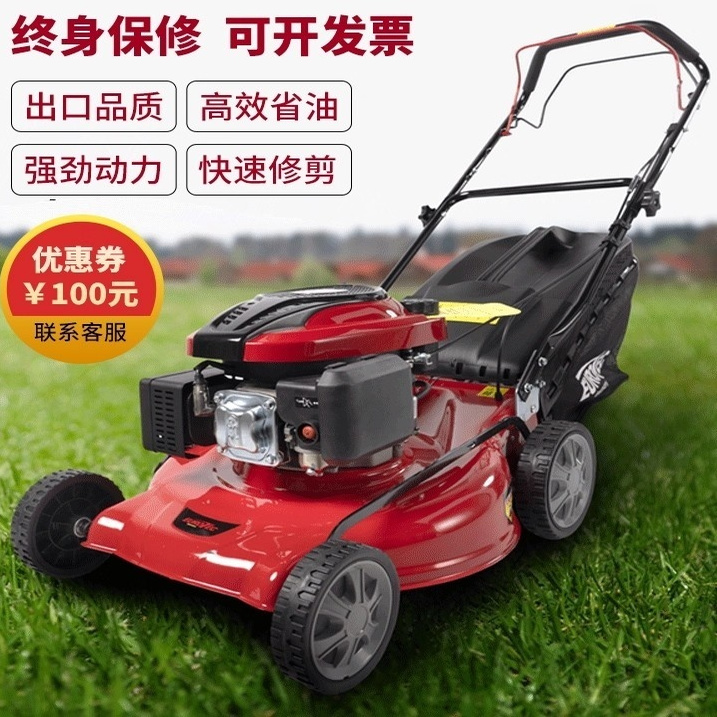 德国斯蒂尔草坪机手推式割草机