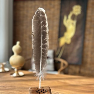 黑火鸡羽毛 羽n毛 风元素(净化套装工具之一)