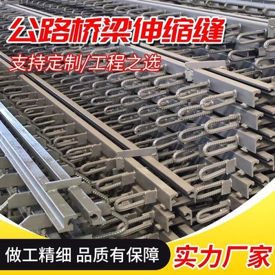 异型桥梁伸缩缝多向变位公路橡胶支座镀锌K减震垫块模数式C40型