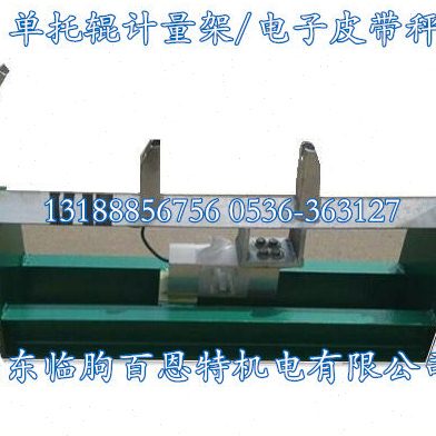 S皮带式机送量通架电子IC 皮带皮带过单大电子输托辊计秤皮带秤