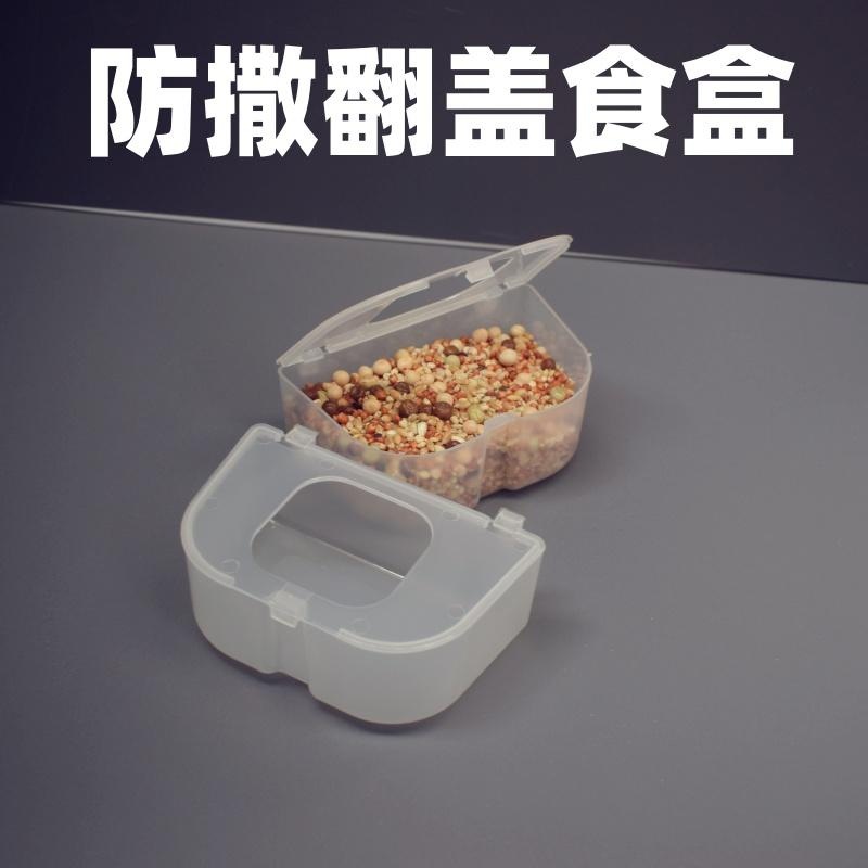 鸽子防撒食槽喂食器信鸽赛鸽食盒