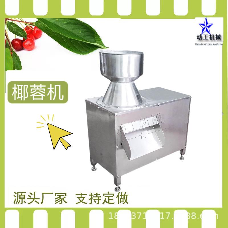 大型商用苹果粉碎椰蓉机工业大型电动配套椰蓉机小型椰肉研磨机