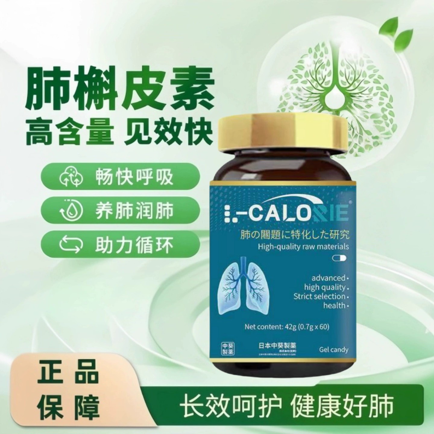 国货正品KC肺莱肺益清润肺养肺槲皮素姜黄素吉清肺净肺男女通用