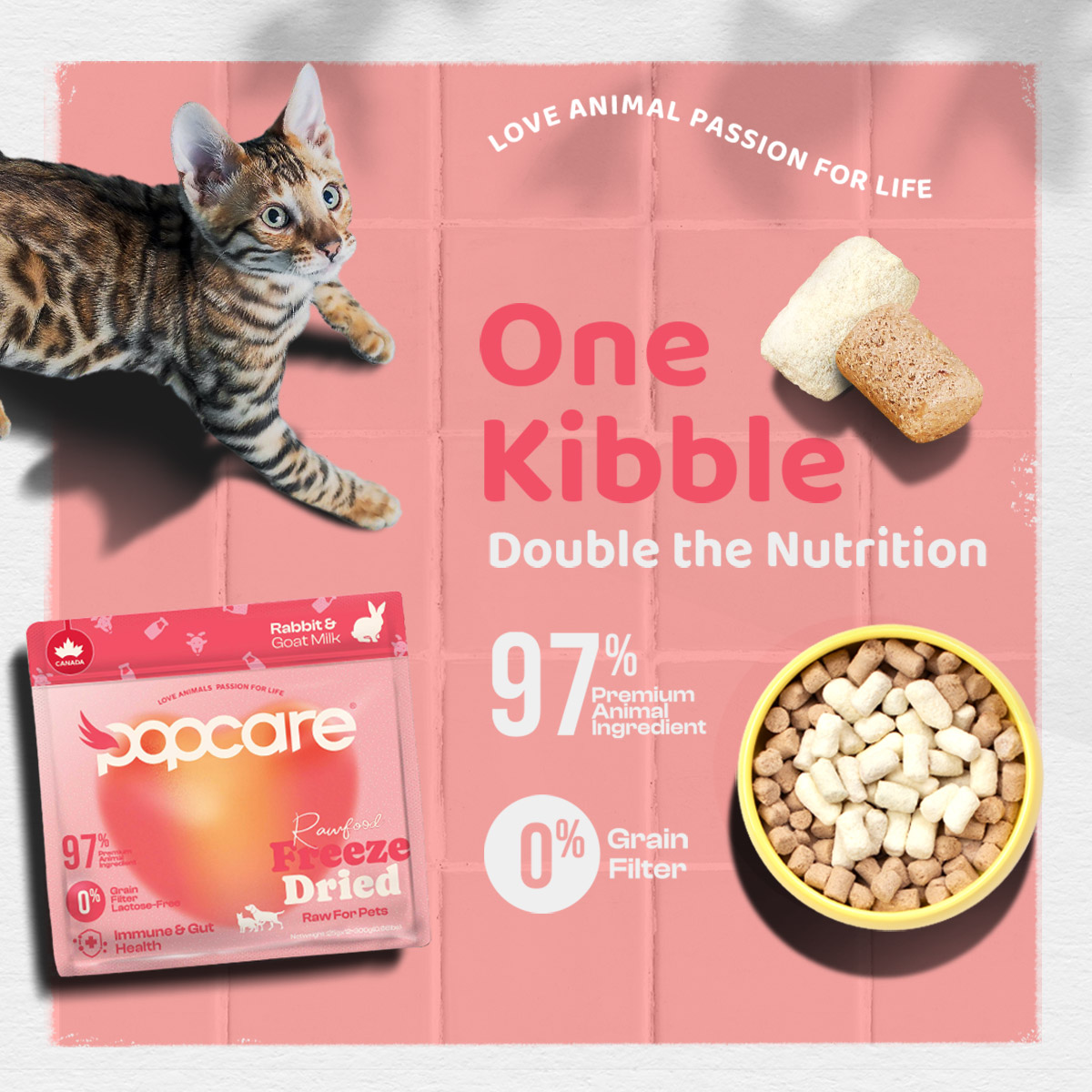 营养免疫、肠胃呵护