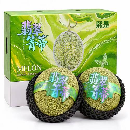 青蒂蜜瓜大果水果哈密瓜网纹瓜脆甜多汁2粒礼盒装中秋水果礼盒