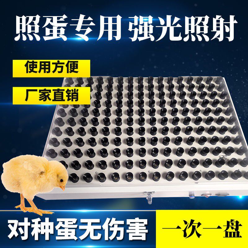 【工厂】枚枚整盘照蛋器孵化强光鸡蛋照蛋验蛋透光