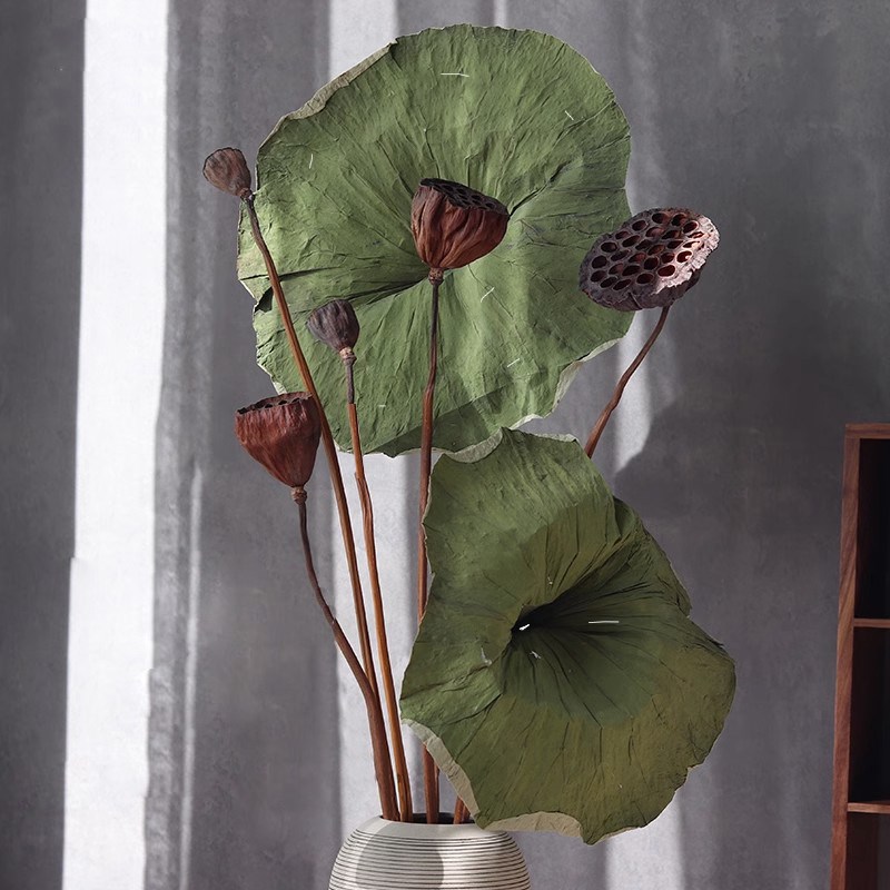 莲蓬干花花束餐厅摆设花饰品风干荷叶天然新中式