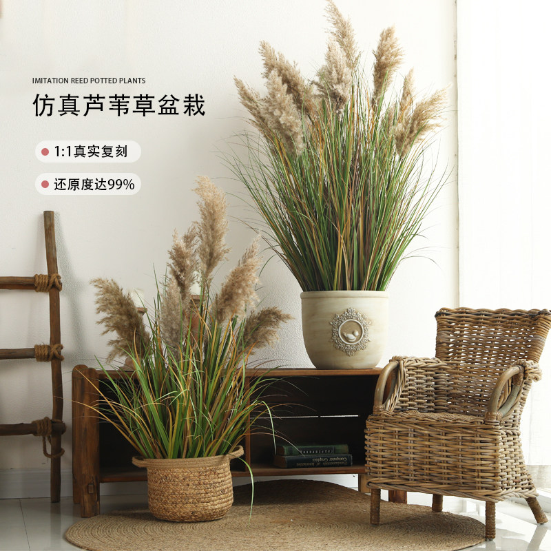 假花仿真花摆设仿真绿植芦苇草假植物盆栽室内盆栽