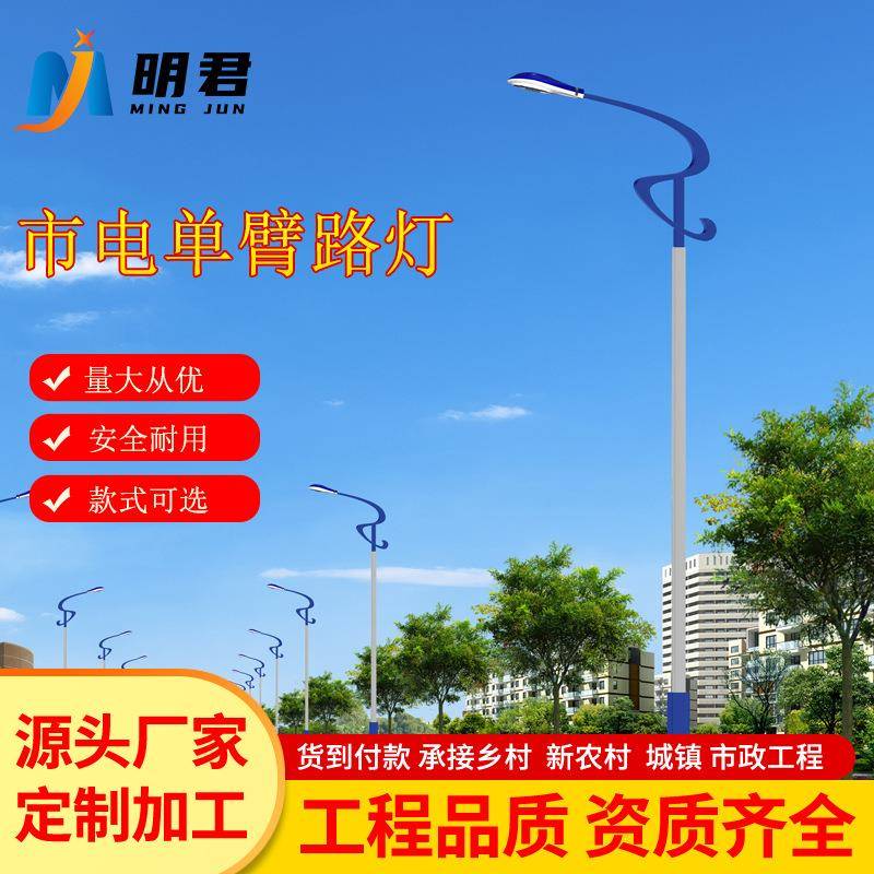 Led路灯杆户外新农村4/5/6/8/10/12米小区广场市电道路高杆灯厂家
