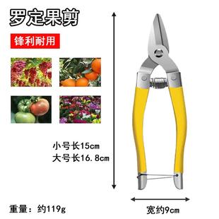 罗定不锈钢果剪新款摘果剪采柑桔剪 蔬果剪 中号果剪刀圆头果子剪