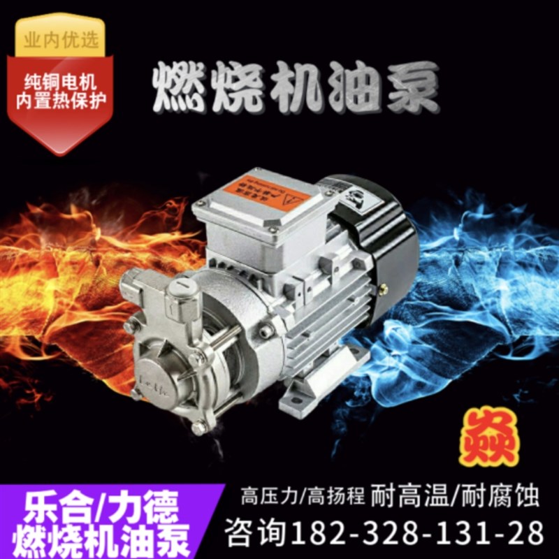 高压燃烧机力德油泵耐高温腐蚀锅炉甲醇醇基燃料乐合油泵多规格